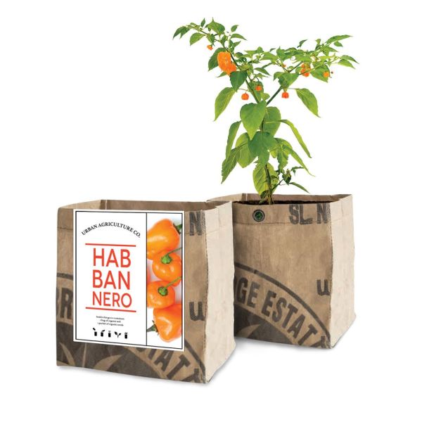 Habanero Grow Kit