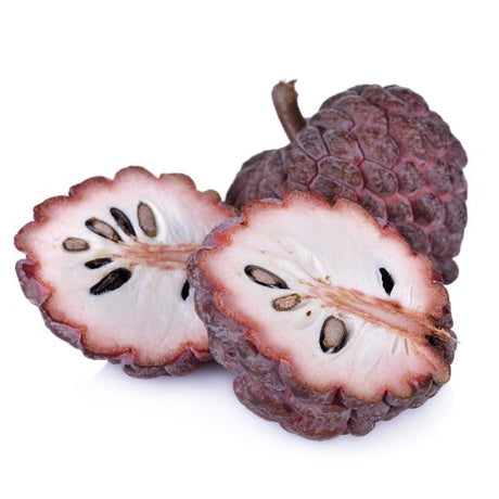 Red Custard Apple Tree