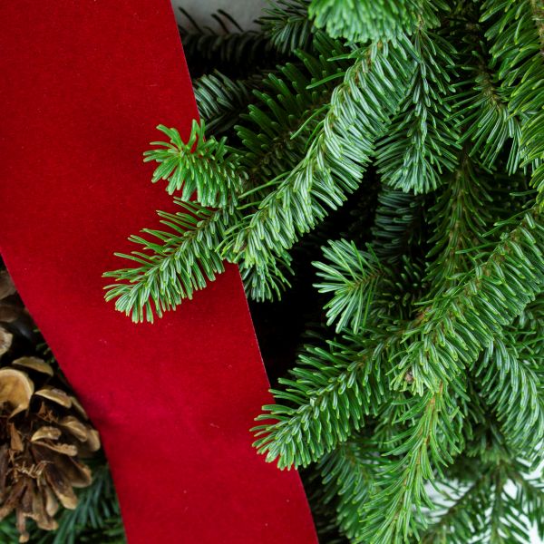 Fraser Fir and Mixed Pines Evergreen Wreath