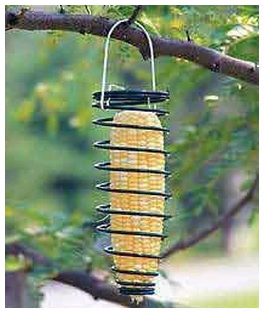 Homestead Spring N Cob Squirrel Feeder