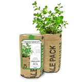 Oregano Grow Bag