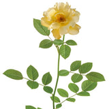 Lemon Drift&reg; Rose