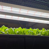 20W 2FT LED Propagation Luminaire 2 Pack - Nature Hills Nursery - Sun White Spectrum - 