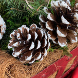 Hallmark Flowers LED Lit Norway Spruce