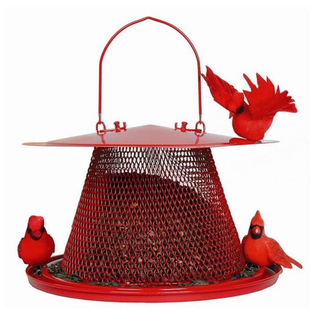 2.5 Pound Cardinal Feeder - Nature Hills Nursery - Garden Center Item - 