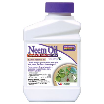 Bonide Neem Oil Concentrate