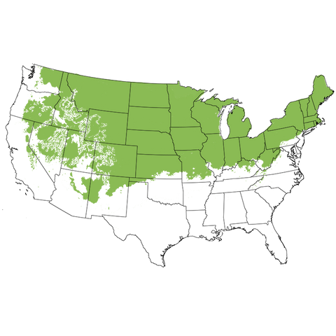 USDA Plant Hardiness Zone Map highlighting Zones 3-6