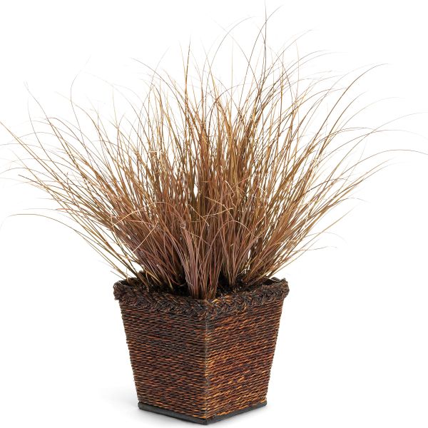 Toffee Twist Sedge Grass