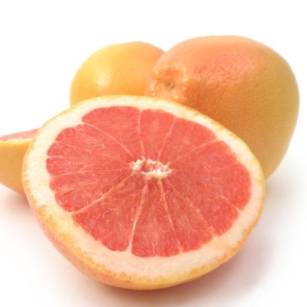 Ray Ruby Grapefruit Tree