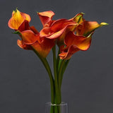 Orange Calla Lily