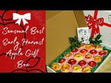 Seasonal Best Early Harvest Apple Gift Box