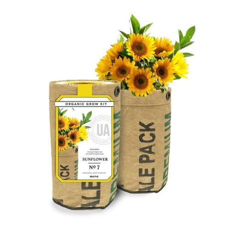 Sunflower Grow Kit