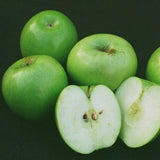 Granny Smith Apple Tree