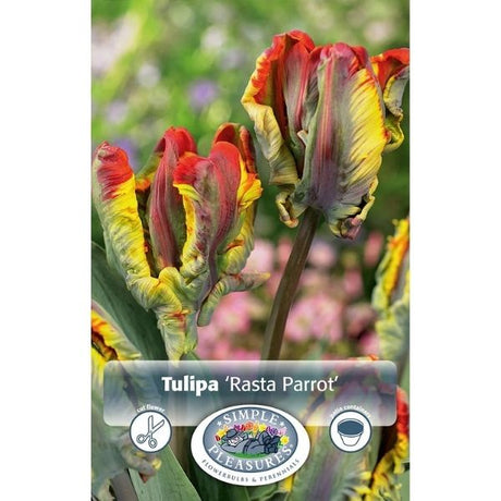 Rasta Parrot Tulip