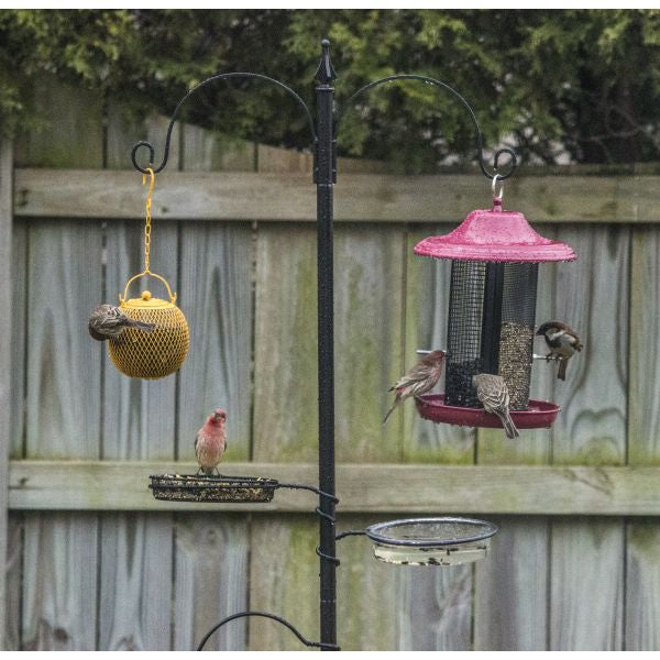 Deluxe Wild Bird Feeding Station