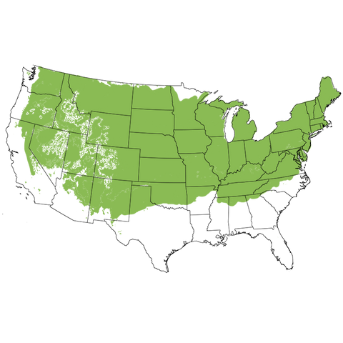 USDA Plant Hardiness Zone Map highlighting Zones 4-7