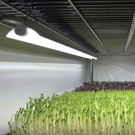 22W T5 4FT LED Horticultural Strip Light 2 Pack