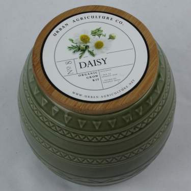 Daisy Ceramic Planter