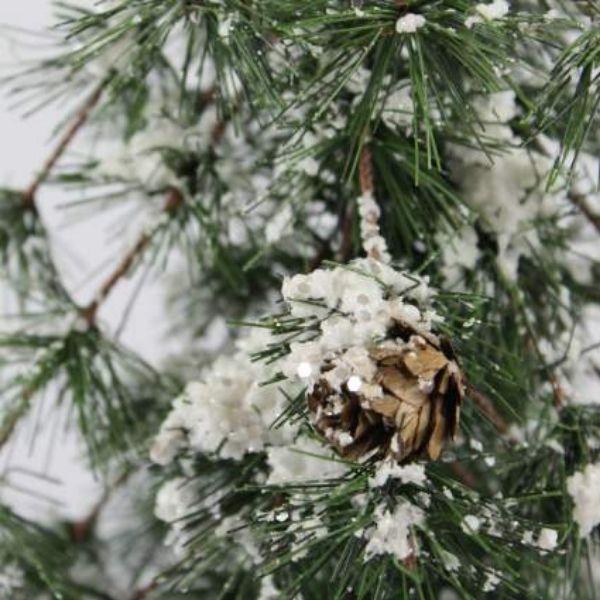 Snowy Pine Trees