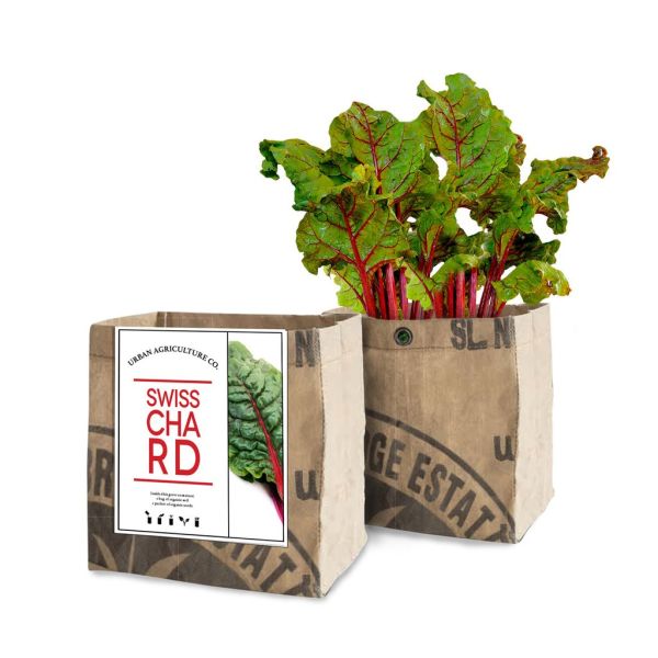 Swiss Chard Grow Kit