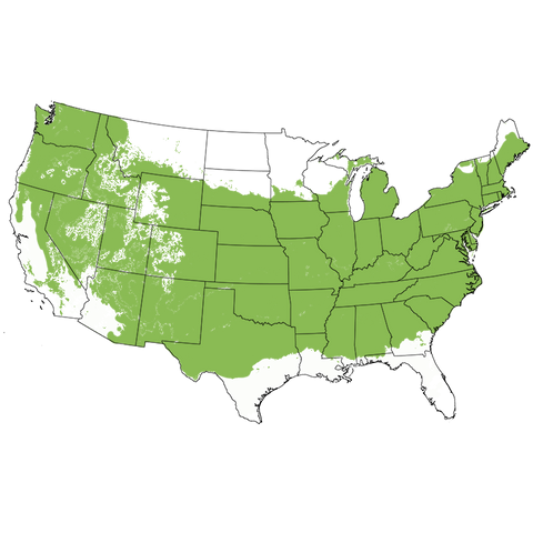 USDA Plant Hardiness Zone Map highlighting Zones 5-8
