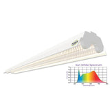 38W 4FT LED Propagation Luminaire 2 Pack