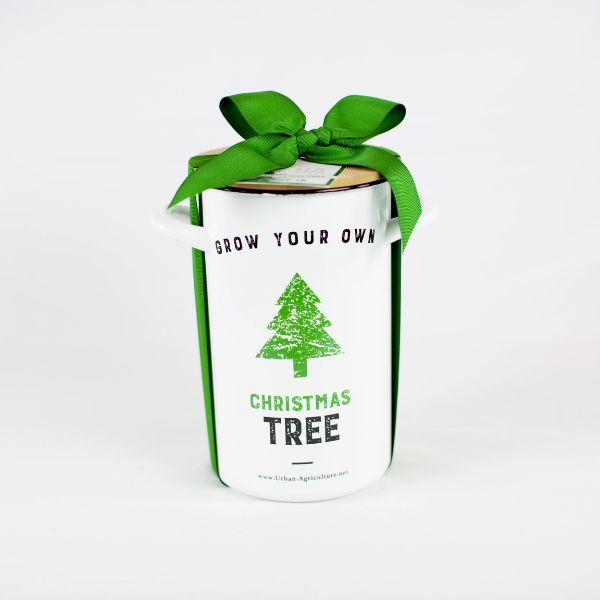 Christmas Tree Kit