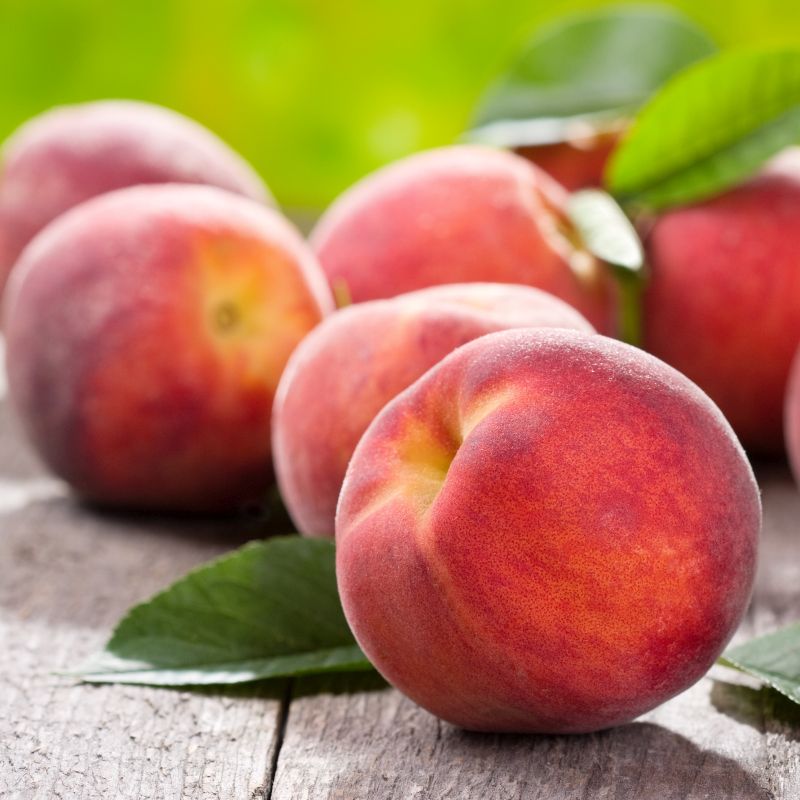 O'Henry Peach Tree