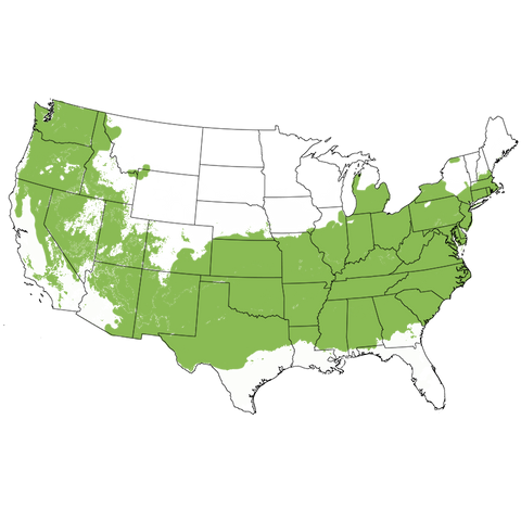USDA Plant Hardiness Zone Map highlighting Zones 6-8