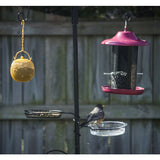 Deluxe Wild Bird Feeding Station