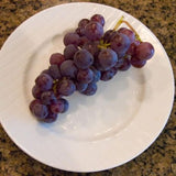 Concord Grape Vine