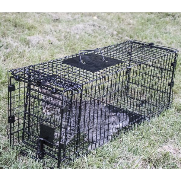 Humane Way Foldable Metal Animal Trap 32 Inch x 12 Inch x 10 Inch