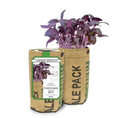 Purple Basil Grow Bag