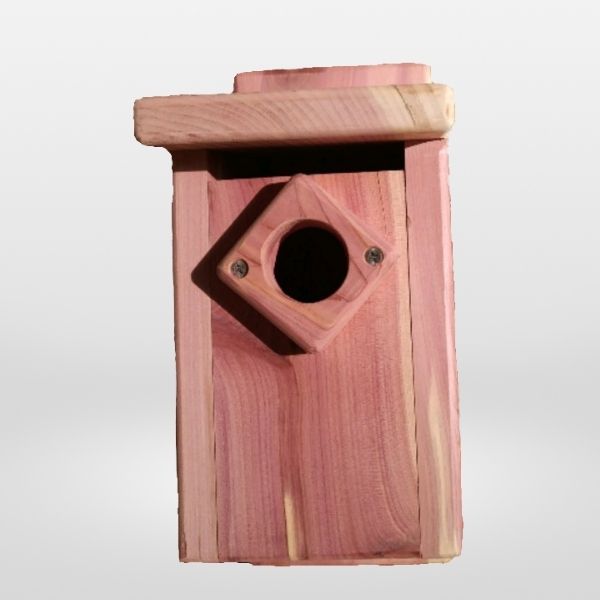 Bluebird Nesting House