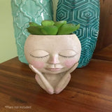 Dream Girl Succulent Pot