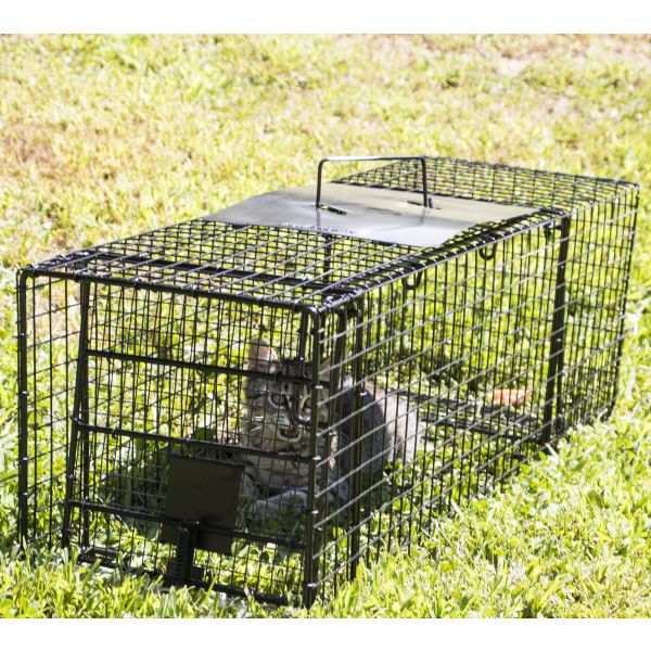 Humane Way Foldable Metal Animal Trap 32 Inch x 12 Inch x 10 Inch