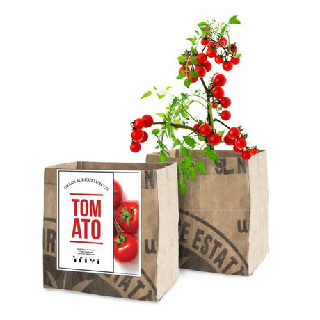 Tomato Grow Kit