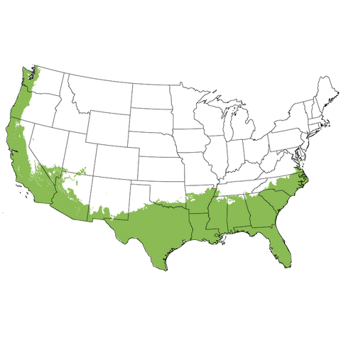 USDA Plant Hardiness Zone Map highlighting Zones 8-11 (patio 4-11)