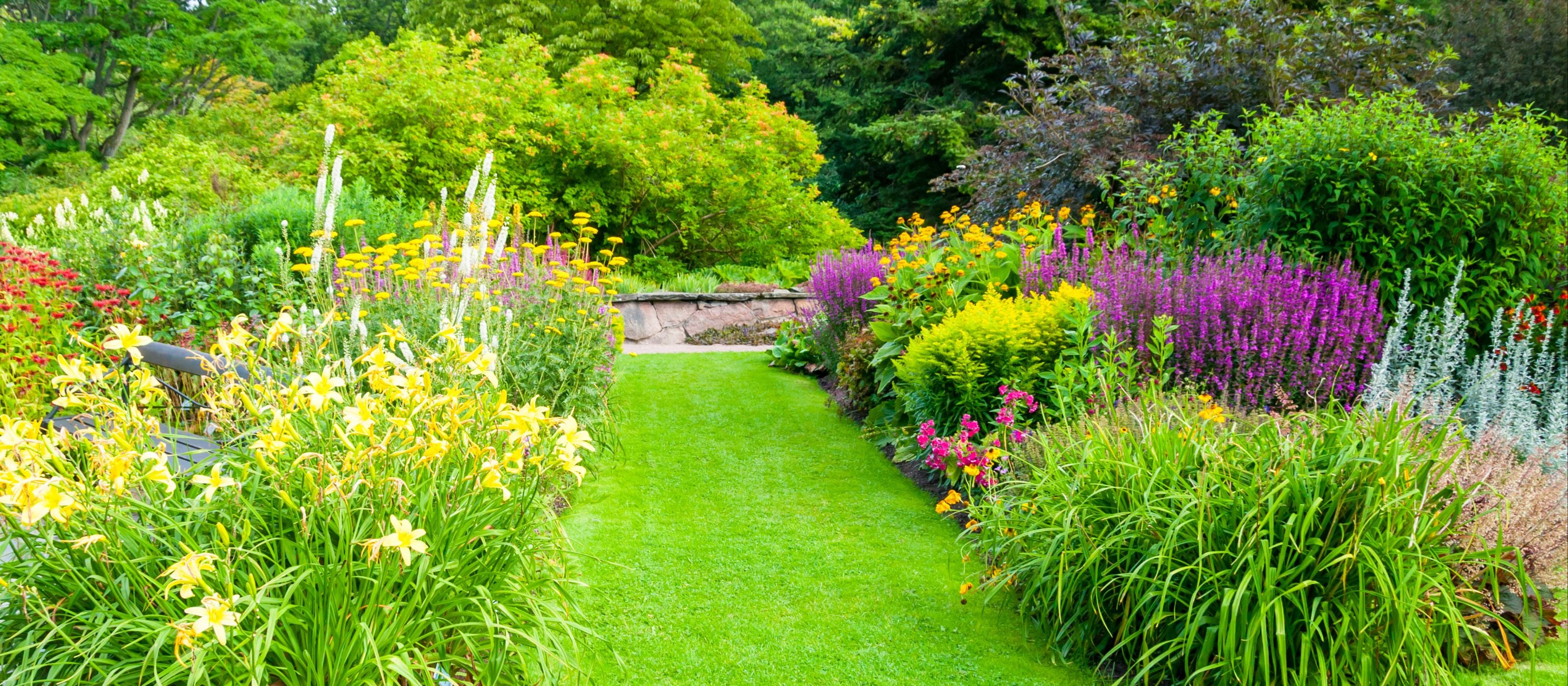 Nature Hills Nursery - America's Largest Online Plant Nursery