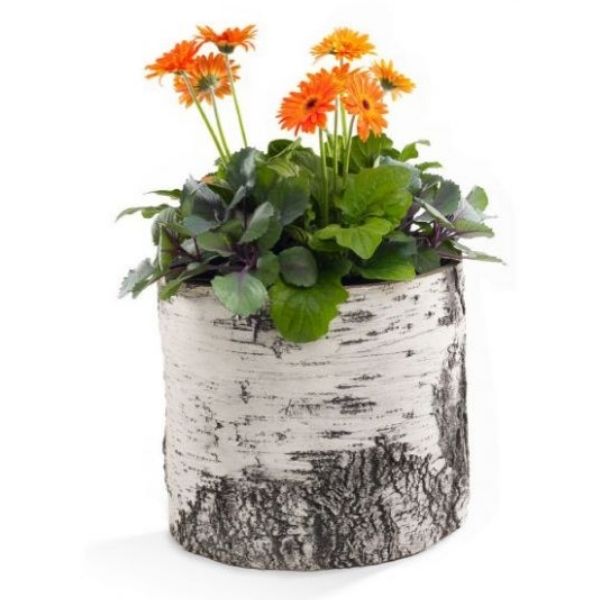 Natures Look 12 Inch Birch Planter