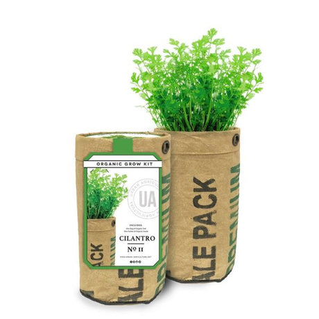 Cilantro Grow Bag