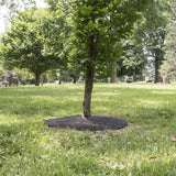 30 Inch Recycled Rubber Mulch Tree Ring