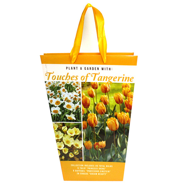 Touches of Tangerine Elegance Bag