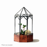 Gazebo Terrarium