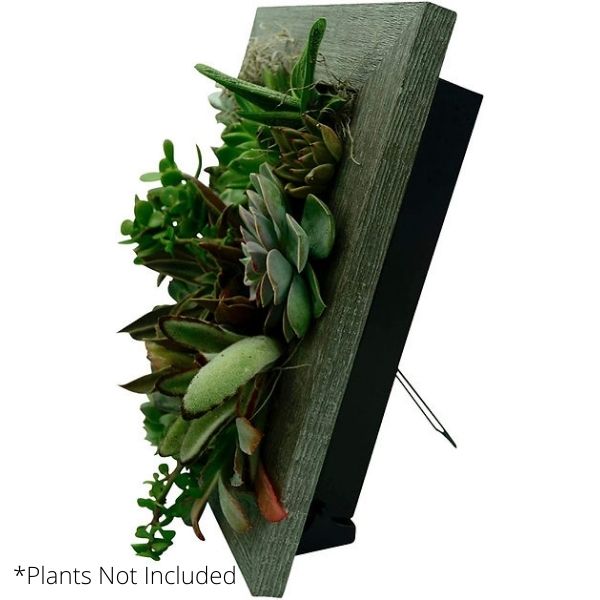 Instant Wall Planter 8" x 10"