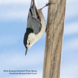 Audubon&reg; Native Prairie Willow