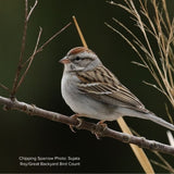 Audubon&reg; Native Bur Oak