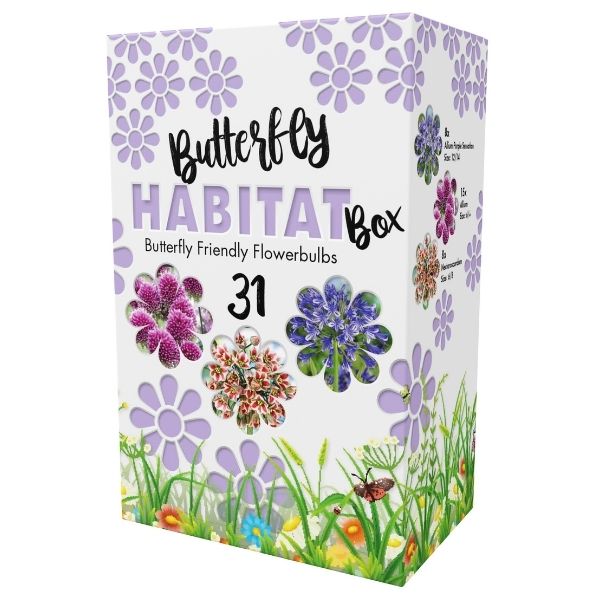 Butterfly Habitat Bulb Box