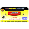 Bonide Revenge Jumbo Fly Catchers