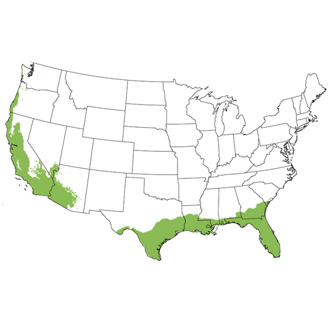 USDA Plant Hardiness Zone Map highlighting Zones 